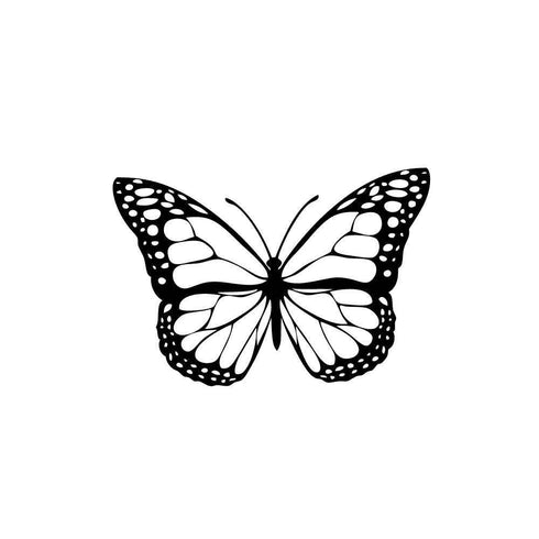 Временное тату Бабочка Ink-Ok