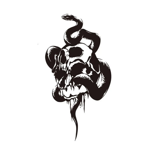 Долговременное тату Череп-змея Ink-Ok