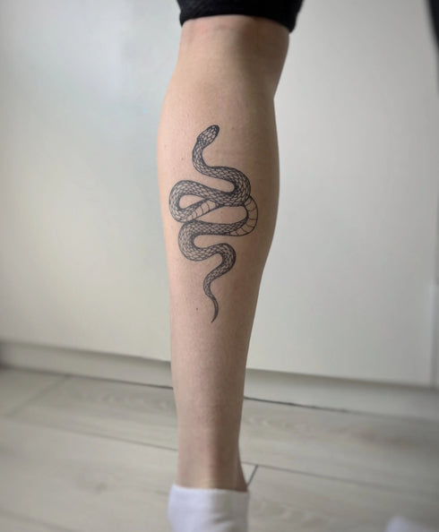 Долговременное тату Змея Ink-Ok
