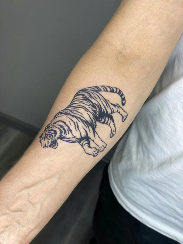 Долговременное тату Тигр Ink-Ok
