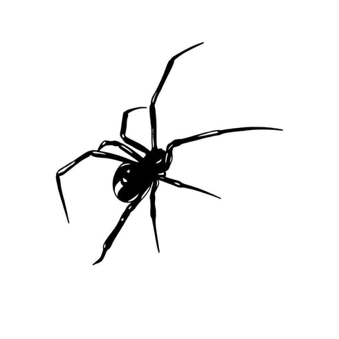 Временное тату Паук Ink-Ok