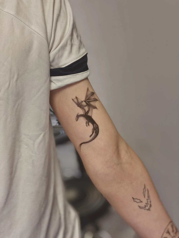 Временное тату сет драконов Ink-Ok