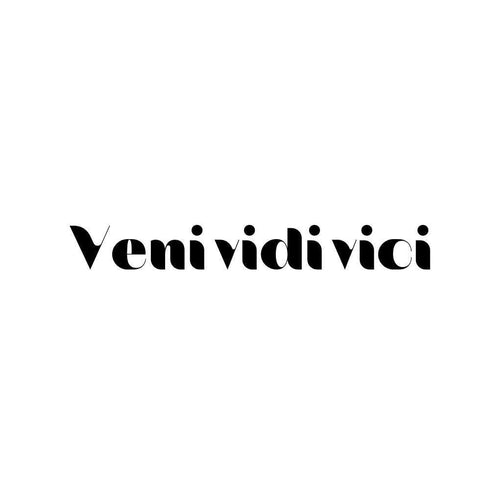 Временное тату Veni vidi vici Ink-Ok